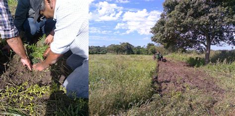 Parque Chaqueño Forestal Jornada de capacitación