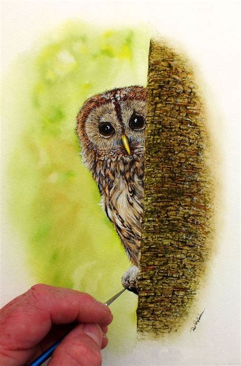 Original Watercolour Painting Of A Tawny Owl Peeping Out From Behind A