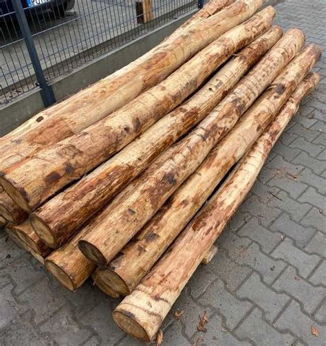 GRUBE SŁUPKI ogrodzeniowe DĘBOWE okorowane 2 5m fi10 17cm dąb PALIKI