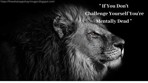 25+ Motivational Lion Pictures Quotes - Brave Lion Quotes