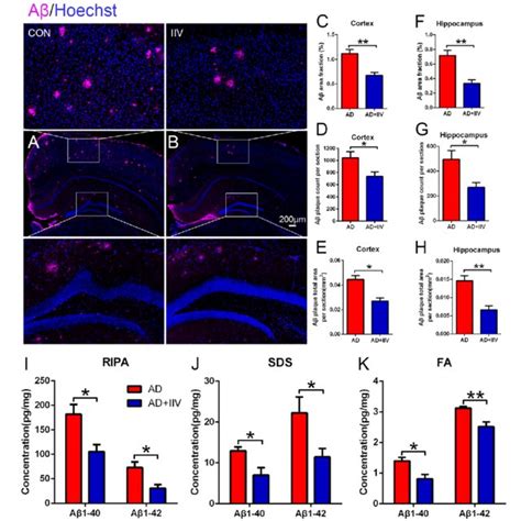 Iiv Treatment Decreased Aβ Deposition In App Ps1 Mice A B