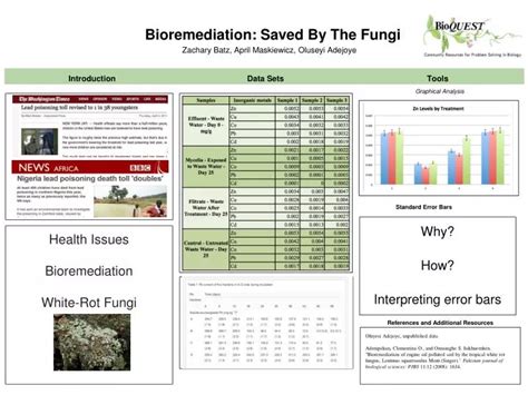 PPT - Bioremediation: Saved By The Fungi PowerPoint Presentation, free ... 
