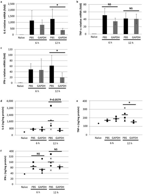 Proinflammatory Cytokine Expression In The Lung After Lps Injection