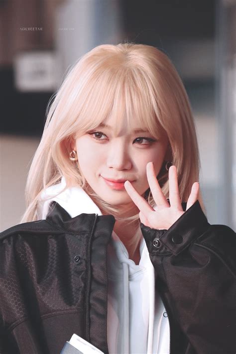 김채원 – 촬스의 이슈와 유머