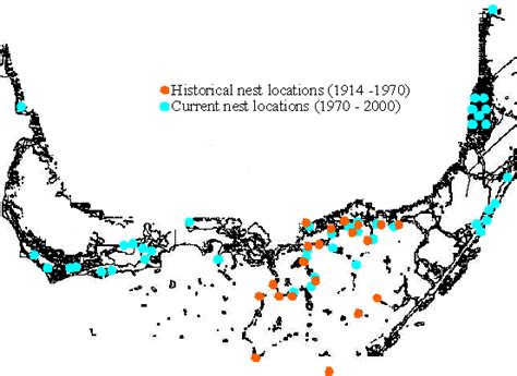 Ecology And Conservation Of The American Crocodile Crocodylus Acutus