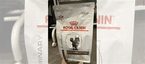Royal canin gastrointestinal для кошек купить в Москве | Животные и ...