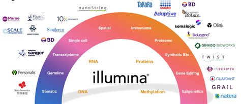 Illumina Inc. (ILMN) Stock Analysis