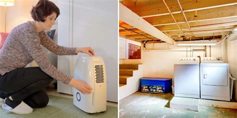 5 Best Crawlspace Dehumidifiers For Small Or Large Spaces And Basements