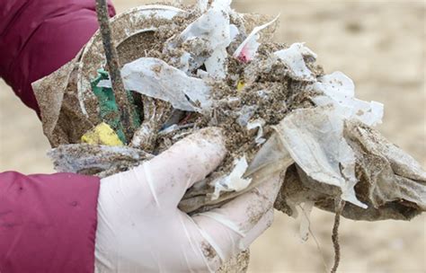 Cifras Alarmantes Contaminación En Las Playas Bonaerenses Más Del 84