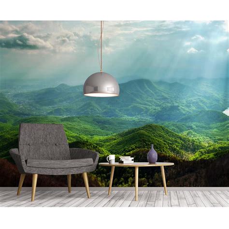 Amazon Startonight Mural Wall Art Photo Decor Morning In The