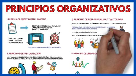 Ejemplos Prácticos de Principios de Organización en Empresas