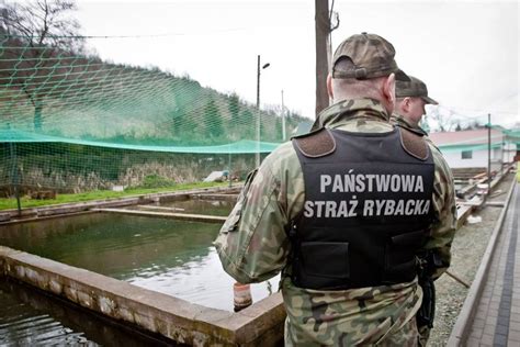 Egzamin Na Kart W Dkarsk Przygotowanie Krok Po Kroku Fishmaniak