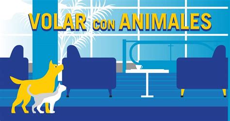 Las aerolíneas más y menos permisivas con los animales