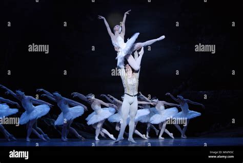 Swan Lake The English National Ballets Production Of The Famous