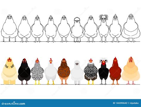 Various chicken in a row stock vector. Illustration of animal - 144390642