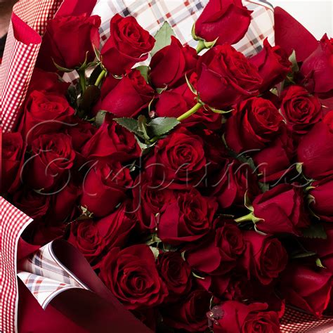 buket   rozi burning love