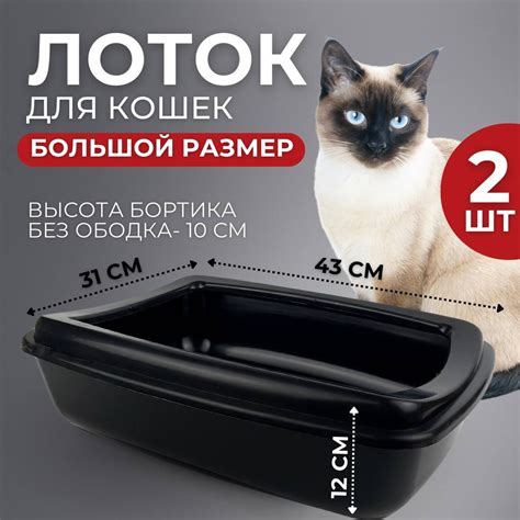 Лоток для кошек с бортом - купить с доставкой по выгодным ценам в ...