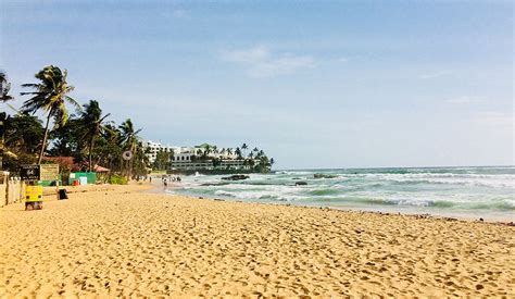 Beach Cleaning Project at Mount Lavinia Beach - ZeroPlastic Movement