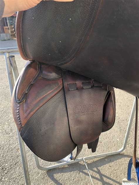 Selles CWD | ChevalAnnonce.com