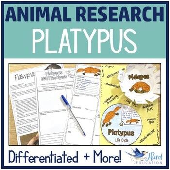 Platypus | Animal adaptations and life cycles by JBirdEdu | TpT