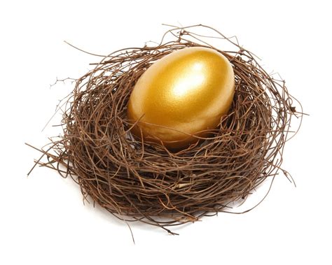 Gold Egg Golden Egg Nest Images Nest