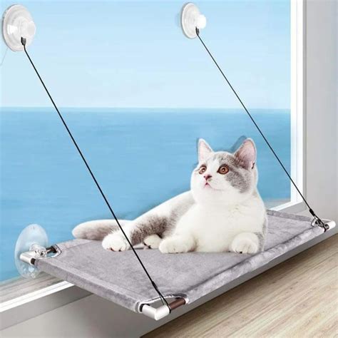 Cama De Gato Janela - Cama de Gato Suspensa de Janela com Ventosas | Amazon.com.br