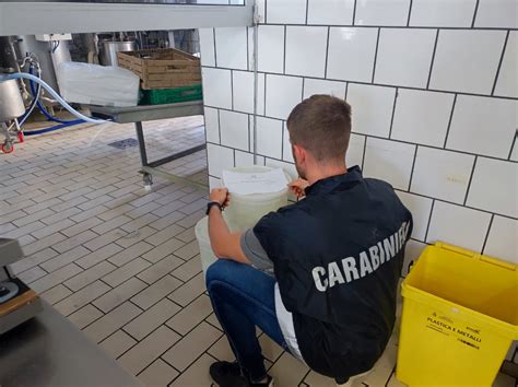 Marcianise Ce I Carabinieri Forestale Sequestrano Mozzarella Di