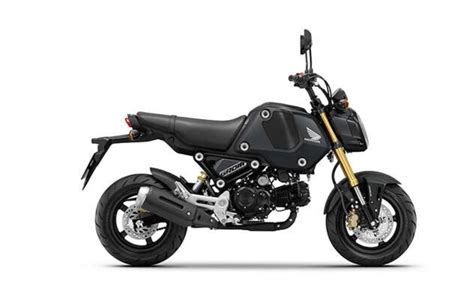 Motorrad Vergleich Honda Msx Grom Vs Honda Msx Grom