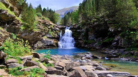 Waterfall On Stone Rocks Pouring On Lake Trees Forest Bushes Plants Scenery Hd Nature Wallpapers