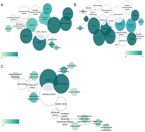 A Nine Mirna Signature As A Potential Diagnostic Marker For Breast