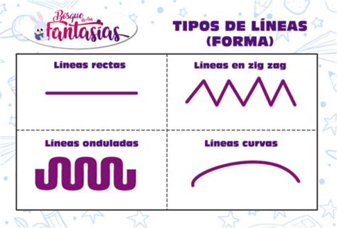 Guía Completa Sobre Los Diferentes Tipos De Línea Rectas Curvas Y