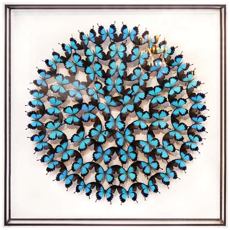 Morphos Butterflies Glass Box Frame For Sale at 1stDibs