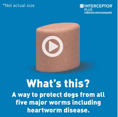 Interceptor® Plus for Dogs — Treats Dangerous Worms