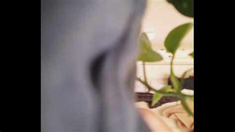 Sexy In Shower Part 1 XVIDEOS