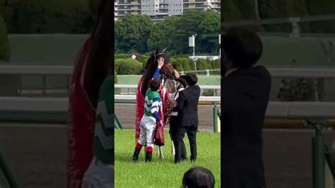 メイケイエールちゃんをなでなでするikze騎手2022年京王杯スプリングsc 競馬動画まとめ