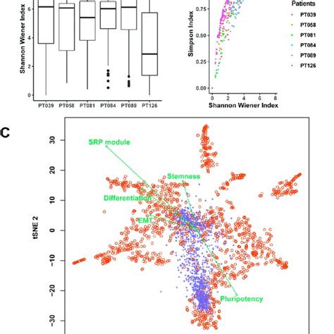 Intratumor Heterogeneity And Its Relationship With Five Key Cellular