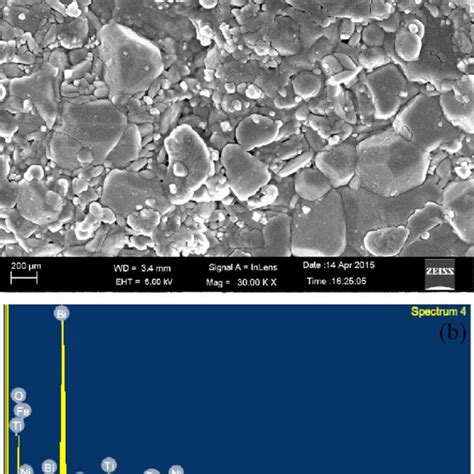 A The FE SEM Micrograph Of Bi Ni 0 45 Ti 0 45 Fe 0 10 O 3 Sintered