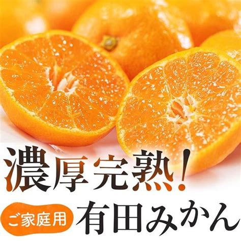 【楽天市場】【ふるさと納税】ご家庭用 濃厚完熟 有田みかん 約4kg【先行予約 2024年11月下旬〜12月中旬発送 】農家直送 訳あり