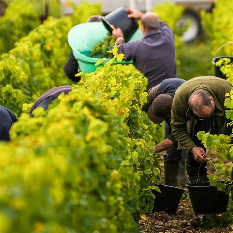 Naked Wines GIFs On GIPHY Be Animated