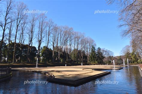 冬の栃木県中央公園 写真素材 [ 6248505 ] フォトライブラリー Photolibrary