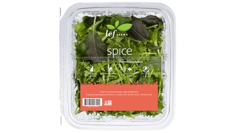 Salad recalled after testing finds E. coli contamination | Food Safety News