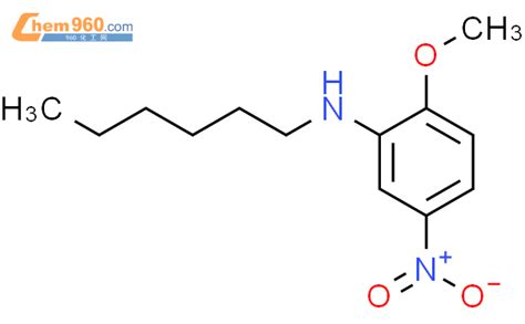 N hexyl 2 methoxy 5 nitroanilineCAS号114568 54 6 960化工网