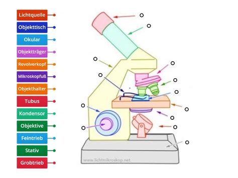 Aufbau Des Mikroskops Beschriftetes Diagramm