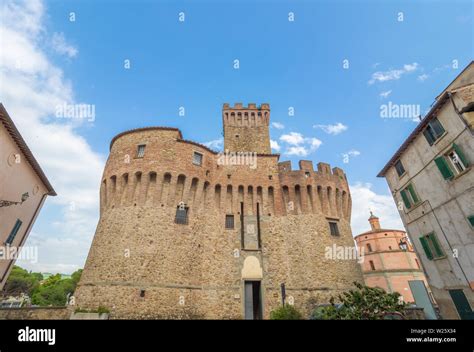 Alberi Del Tevere Del Fiume Tevere Immagini E Fotos Stock Alamy