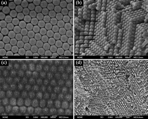 Typical Sem Images Of As Prepared Films A And B Top View And