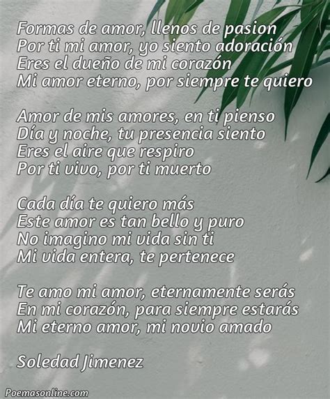 Cinco Poemas De Amor Para Mi Novio Que Lo Amo Poemas Online