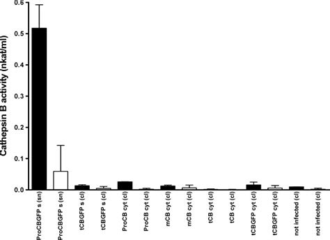 Cathepsin B Activity Measurements Enzyme Activity As Nanokatal