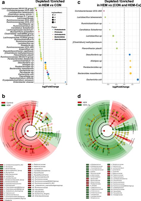 Differentially Abundant Faecal Bacterial Taxa In Response To The