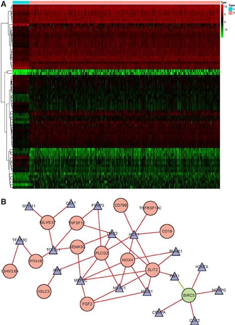 Regulation Of Transcription Factors On Hub Irgs A Transcription