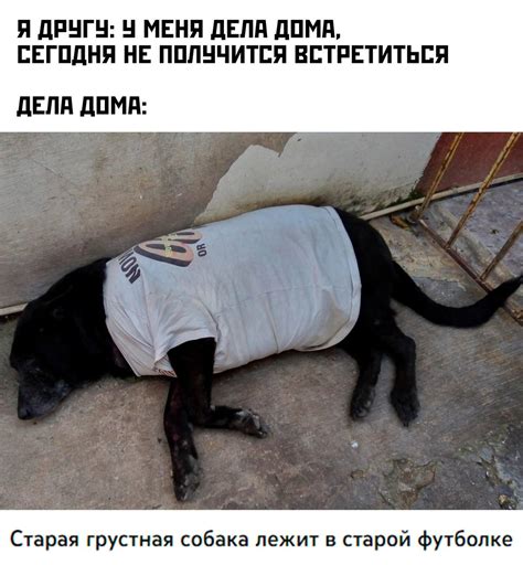 ﻿Я ДРУГУ: У МЕНЯ ДЕЛЯ ДОМА, СЕГОДНЯ НЕ ПОЛУЧИТСЯ ВСТРЕТИТЬСЯ ДЕЛЛ ДОМА ...